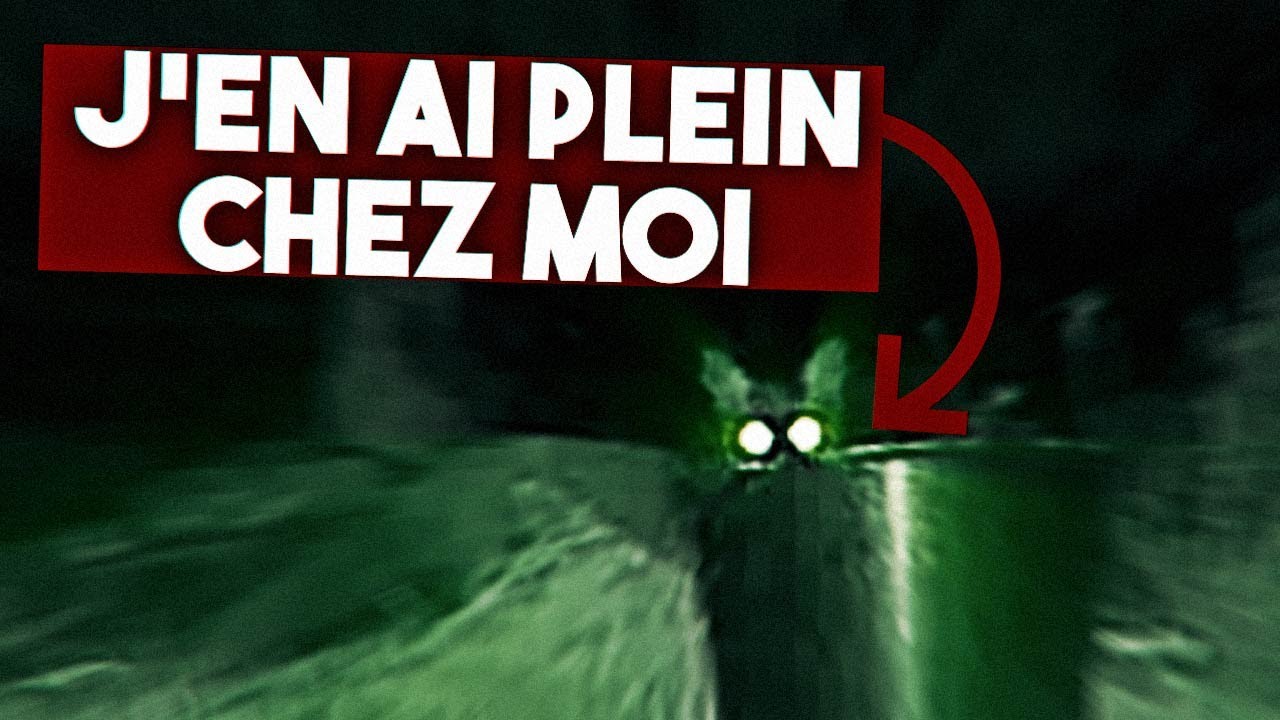Je re&ccedil;ois pas mal de visites nocturnes...