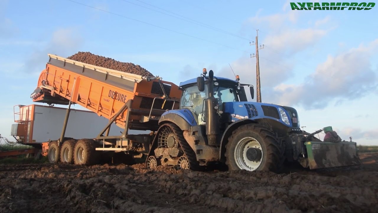 Arrachage PDT en condition difficile - NH T8.435 SmartTraxx & Dezeure TransMax Turbo Cleaner