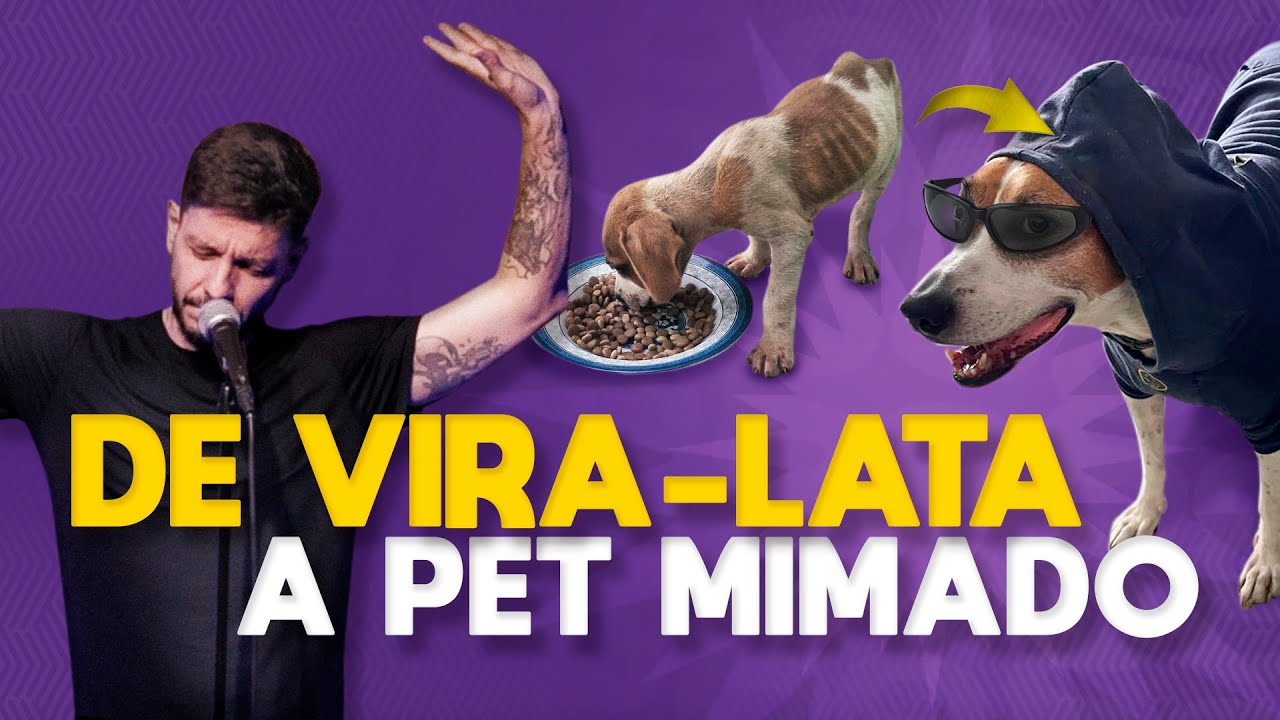 SEU PET &Eacute; MIMADO? - LUCIANO GUIMA - V&Iacute;DEO COMPLETO