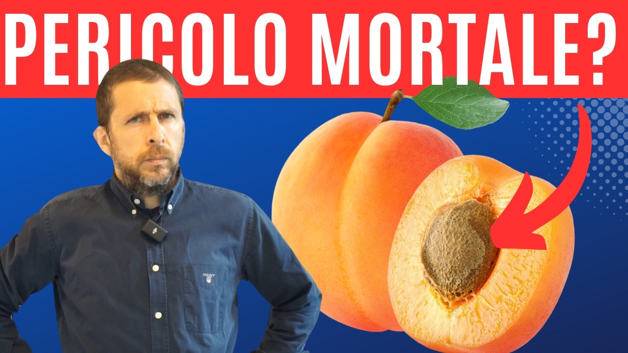 Albicocche: perché fanno BENE e i (pochi) PERICOLI 🍊 E poi calorie, indice glicemico, ...