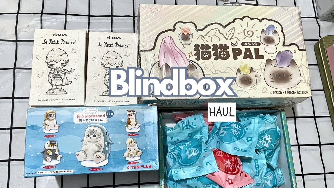 I bought lots of blindboxes 📦 worth 12,500+ bdt ($100+) [ASMR] | hirono, mofusand, shinchan