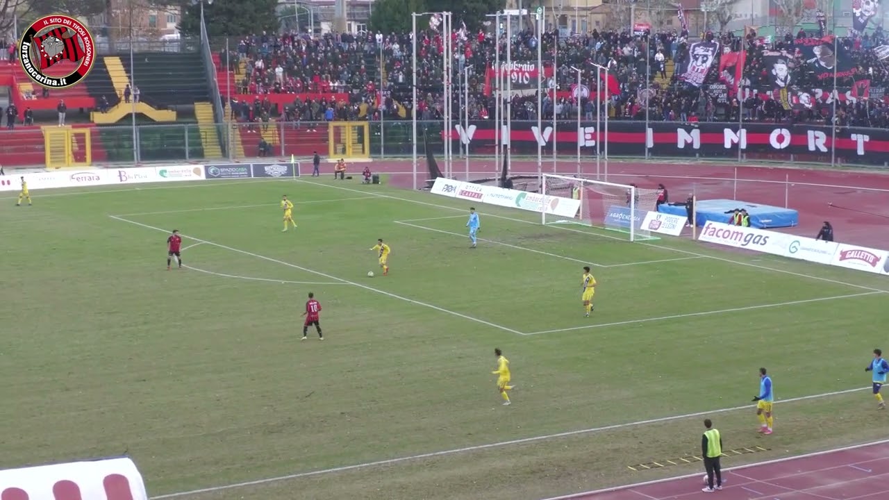 NOCERINA-MATERA | HIGHLIGHTS | 17^ GIORNATA | SERIE D GIRONE H 24/25