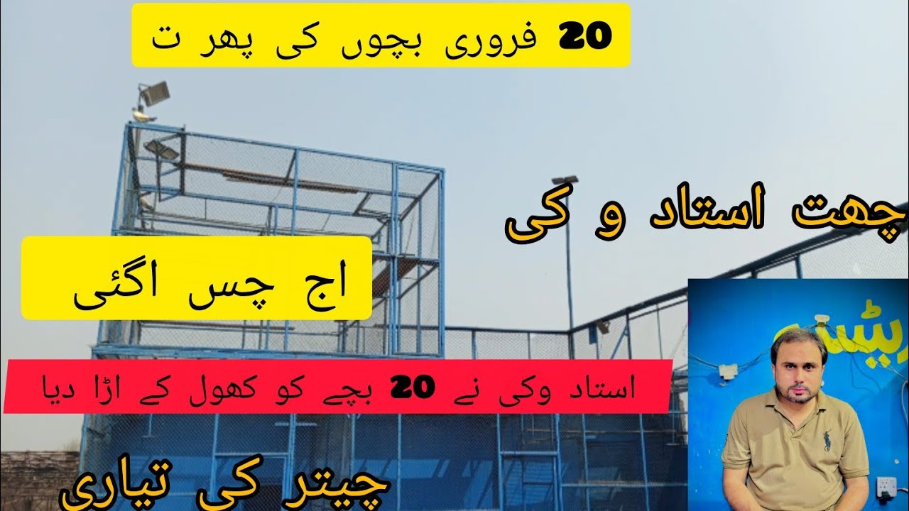 Sab baby pigeons kay per khol kr Bahir chor Diya! Ustad waqar off vicky#parwazikaboter 