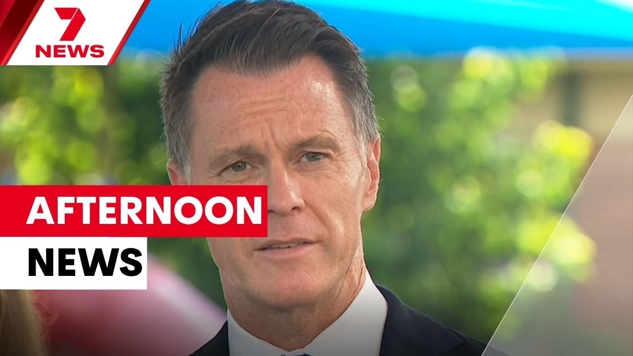 NSW Premier joins plea for kidnap return; Bondi terrorist's first public court sighting | 7NEWS