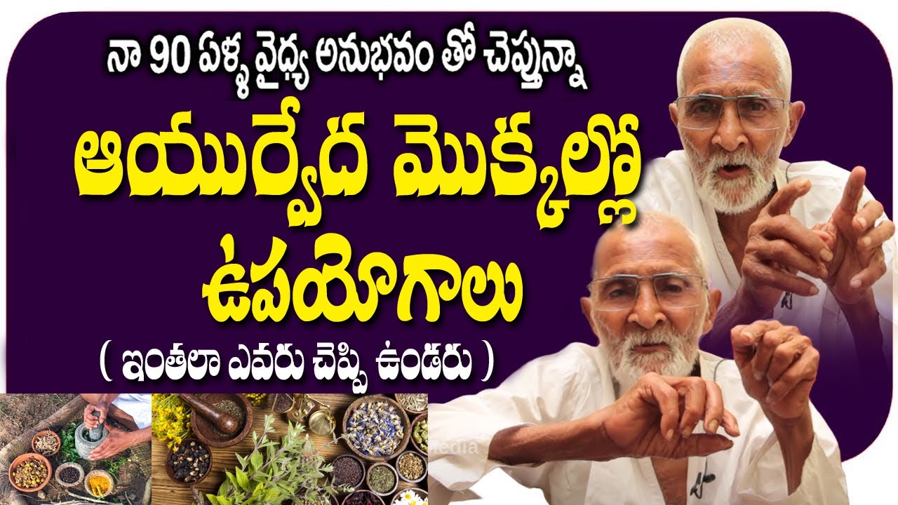 నా 90 ఏళ్ల అనుభవం తో చెప్తున్నా ఆయుర్వేద మొక్కల్లో ఉపయోగాలు | Padmanabha Sastry | Vahini Media
