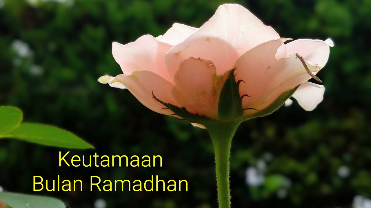Kuliah Subuh Masjid Raya Baiturrahman Banda Aceh Via Jepang/Perihal Bulan Ramadhan