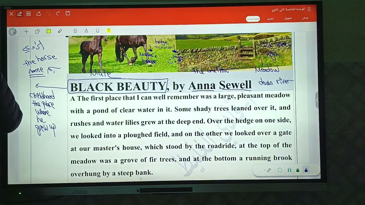 Literature Spot ( Black Beauty) 