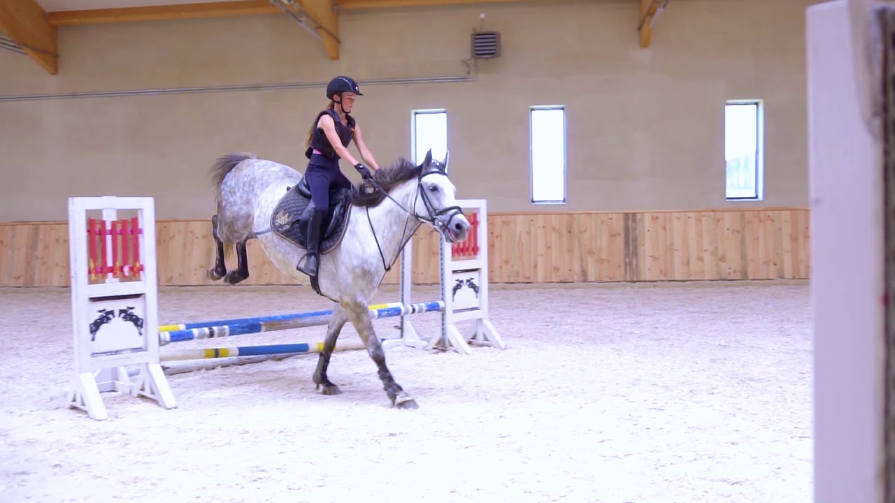 Riding Holidays in Poland - Galiny Palace