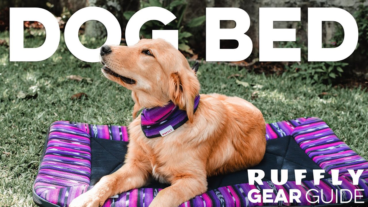 DOG BED made for comfort at home and everywhere you go!