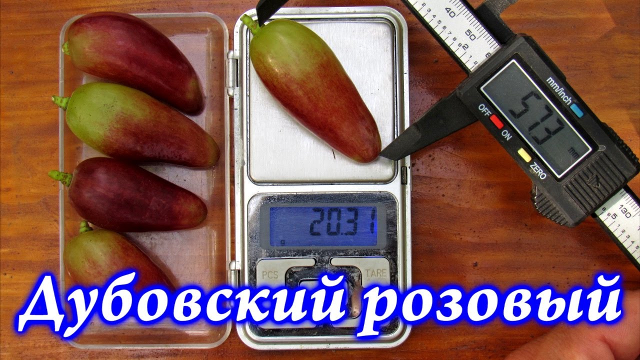 Дубовский розовый 2021 - один из самых красивых виноградов