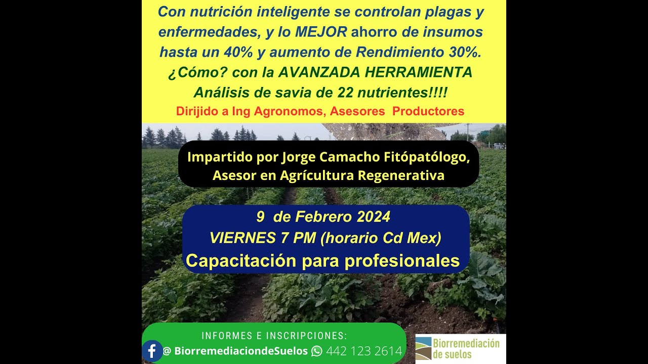 Análsis de savia herramienta para una nutrición vegetal inteligente, eficaz y regenerativa