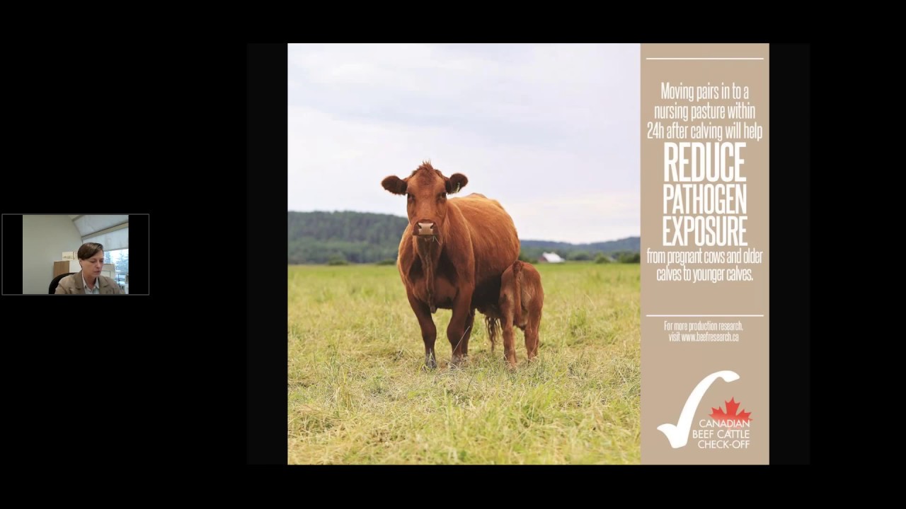 Managing Internal Parasites