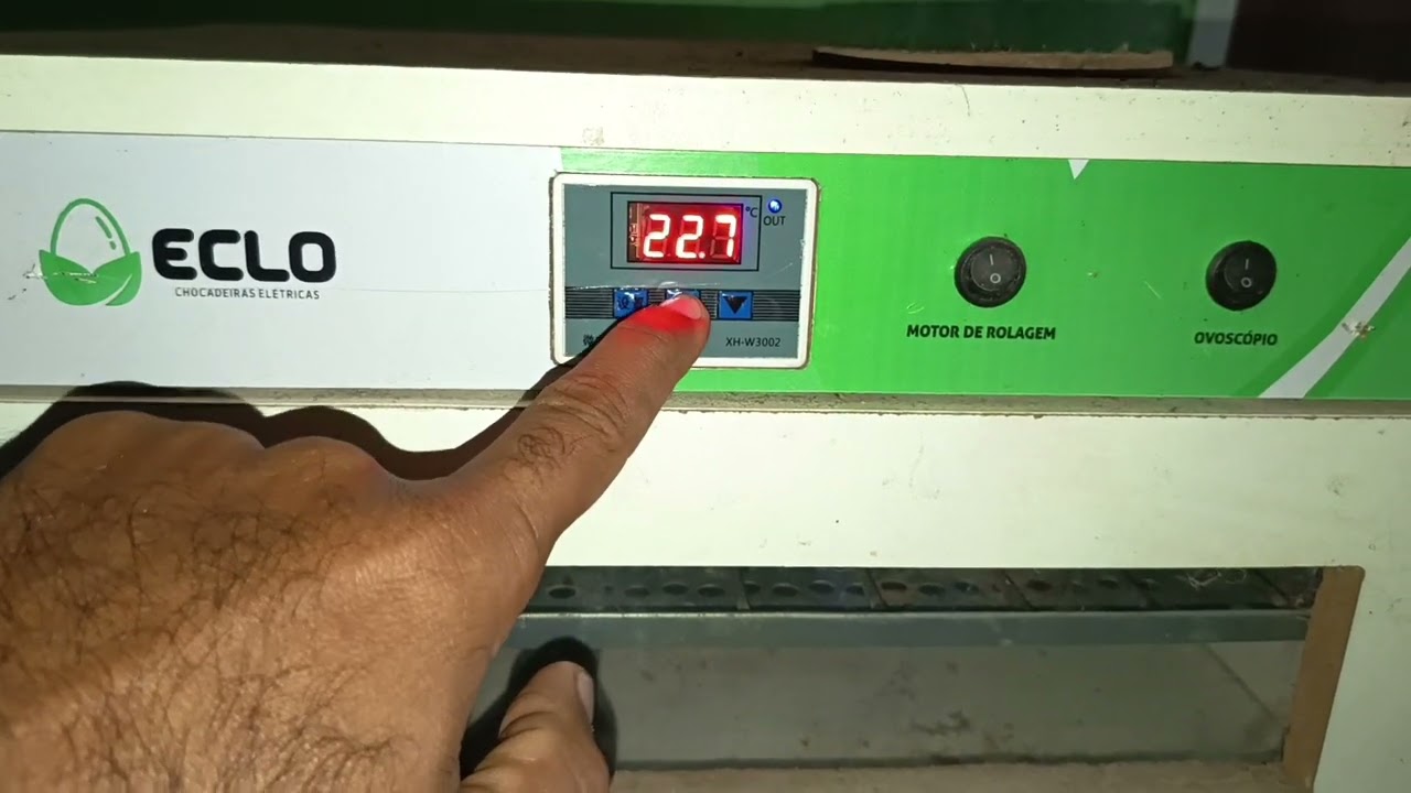 REGULAR CHOCADEIRA ECLO XH-W 3002
