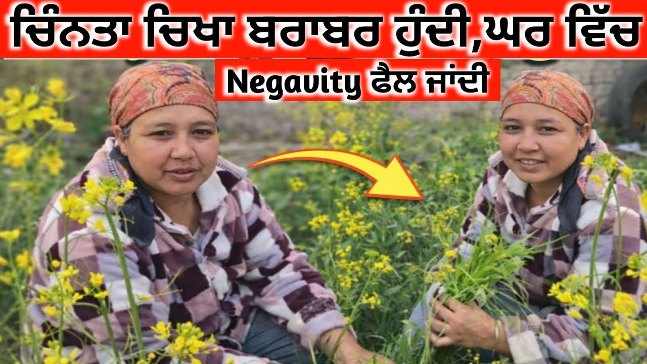 ਅੱਜ ਏਨੇ ਦਿਨਾ ਬਾਅਦ ਕਿਉ ਬਣਾਈ ਇਹ ਵੀਡੀਉ,ਕੀ ਕਾਰਨ ਸੀ