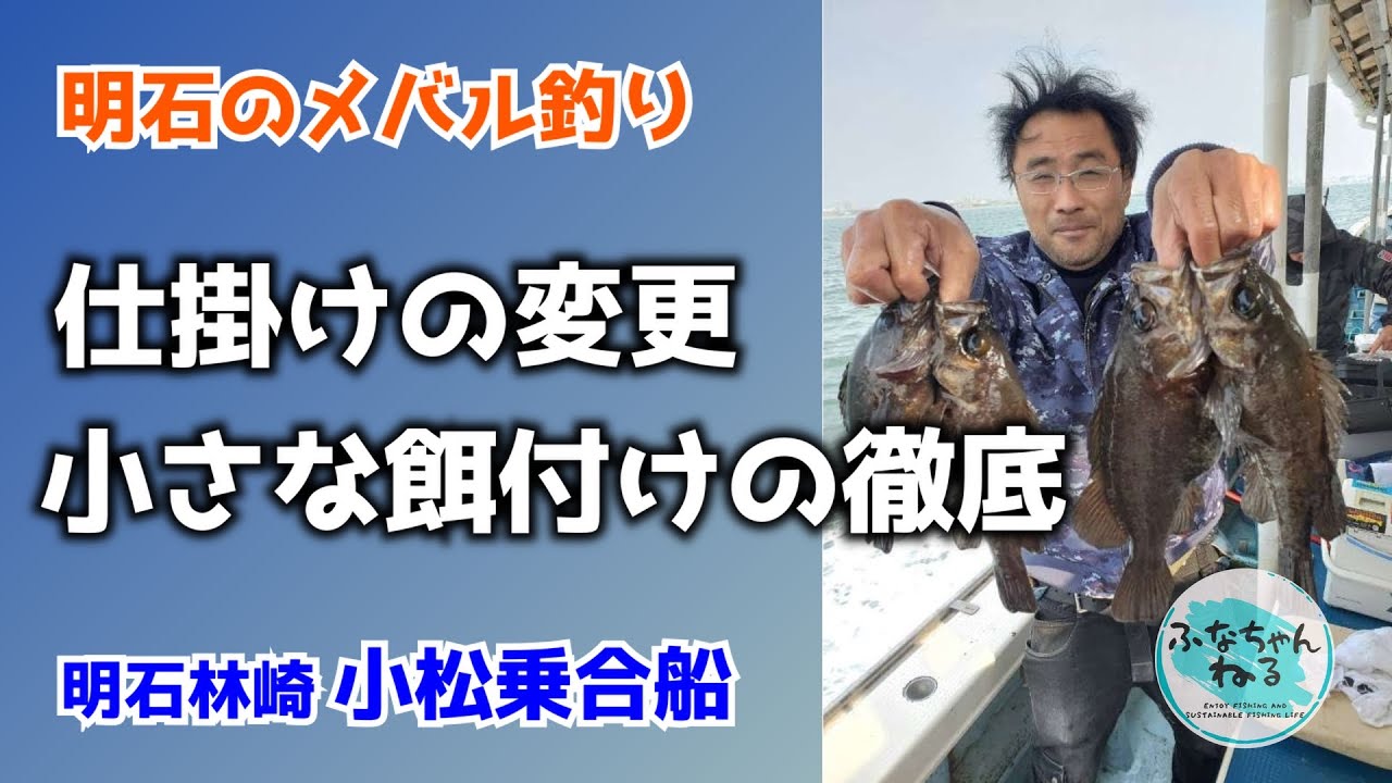 【メバル】2月大潮回り（2日潮）スレたメバルを引き寄せる仕掛け＆エサテク