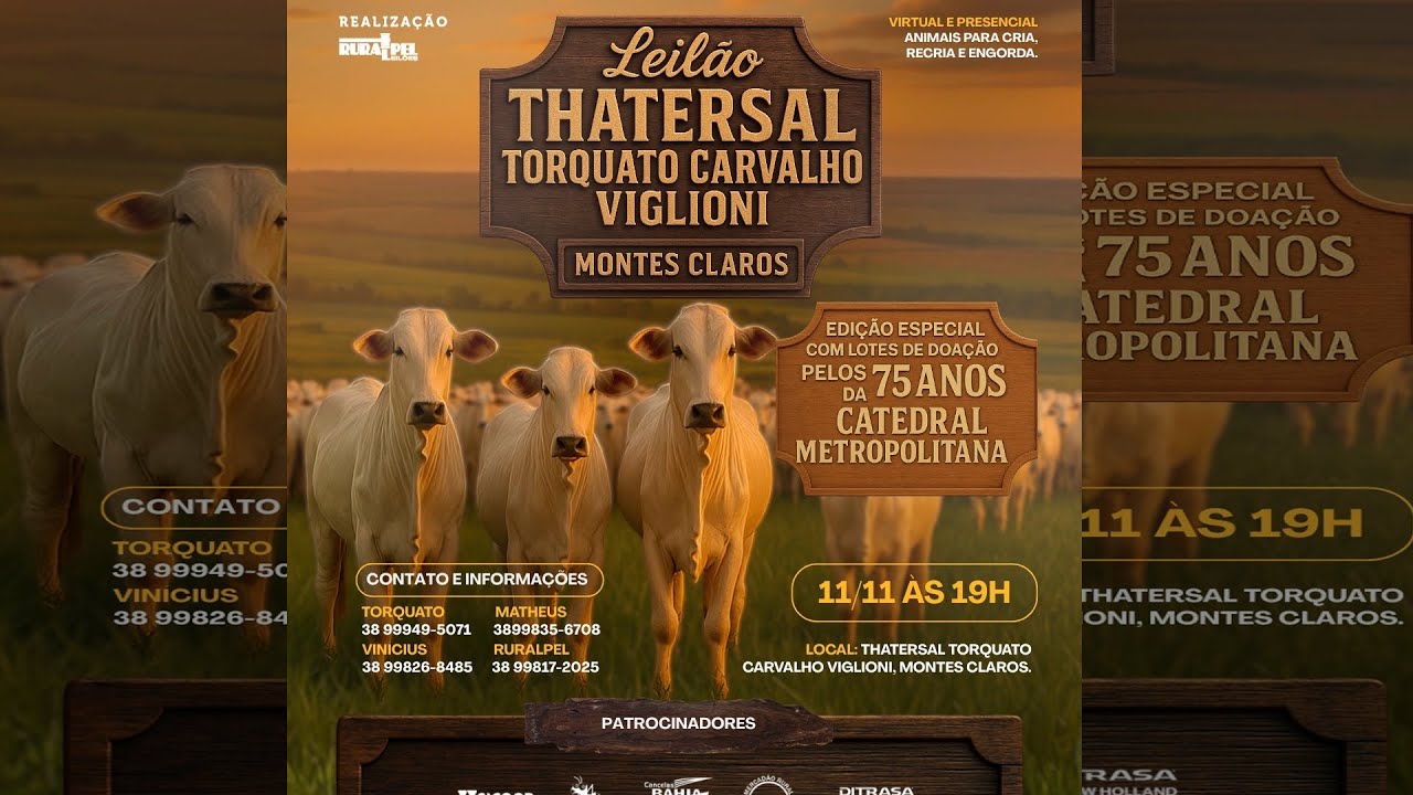 Leilão do Tathersal Torquato Carvalho Viglioni | Montes Claros/MG