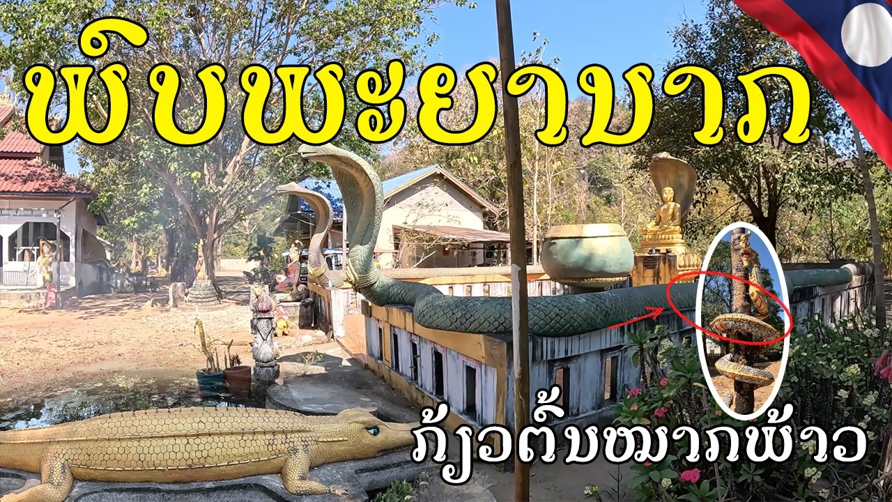 Laos🇱🇦:ອັບເດດບ້ານຊຽງແຫວນ  ບ້ານຖໍ້າ, ທ່າແຂກ, ແຂວງຄຳມ່ວນ 2026, The best rural village in Laos 2026