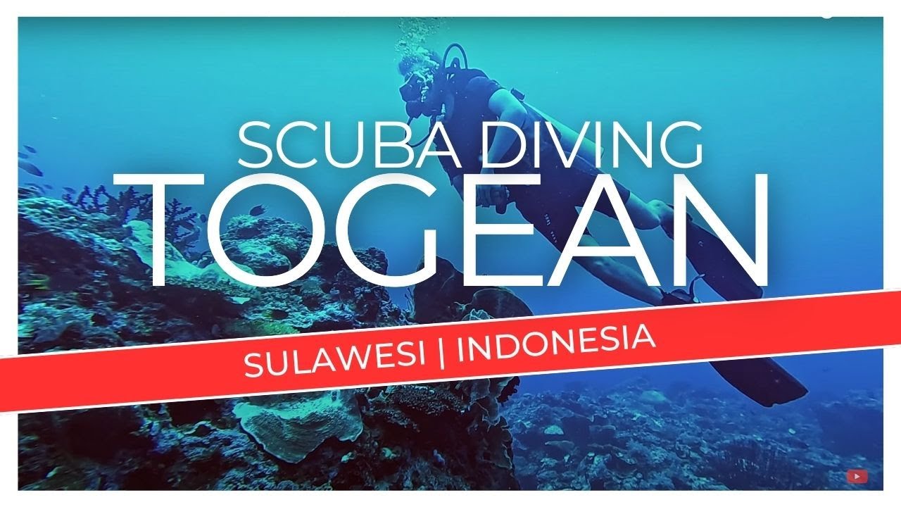 SCUBA DIVING TOGEAN ISLANDS (SULAWESI) | 4K
