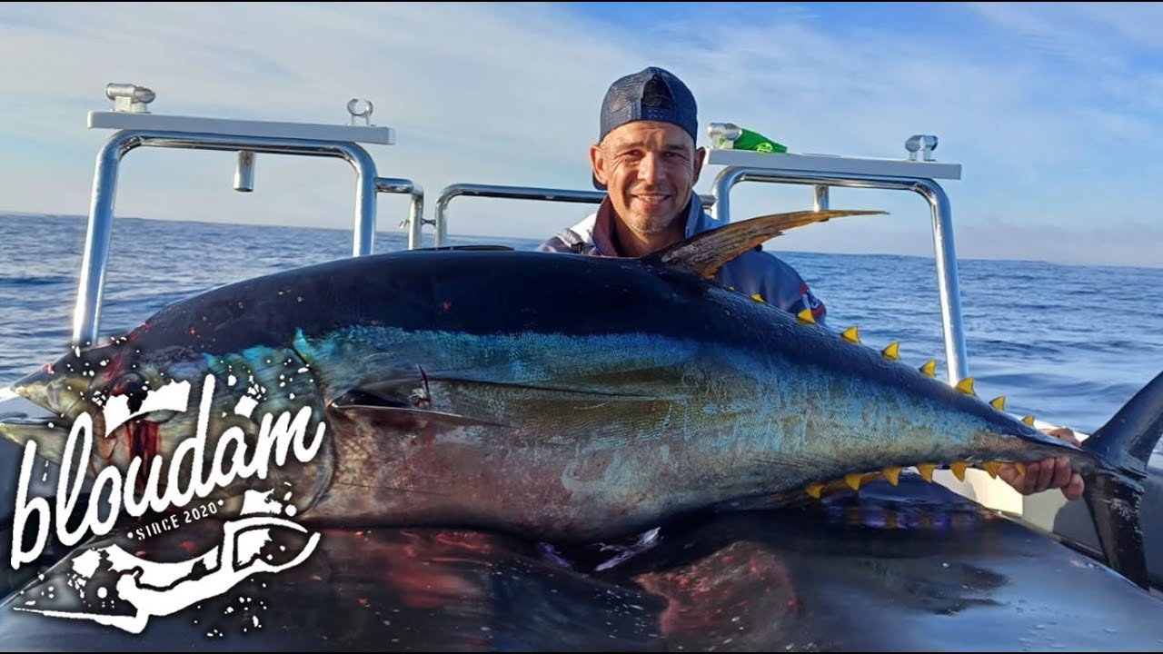 5 MONSTER TUNAS  in 1 DAY - Fishing Cape Town South Africa