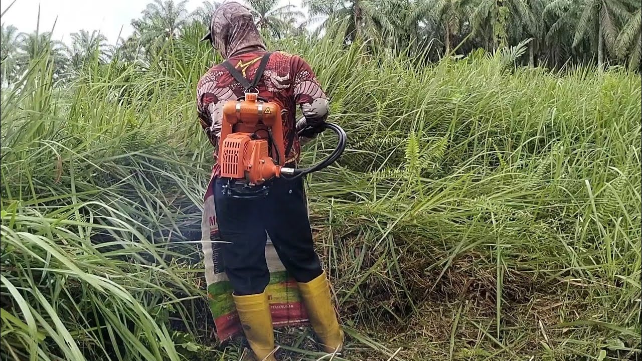 #potong rumput, super semak, bersih dan kandas