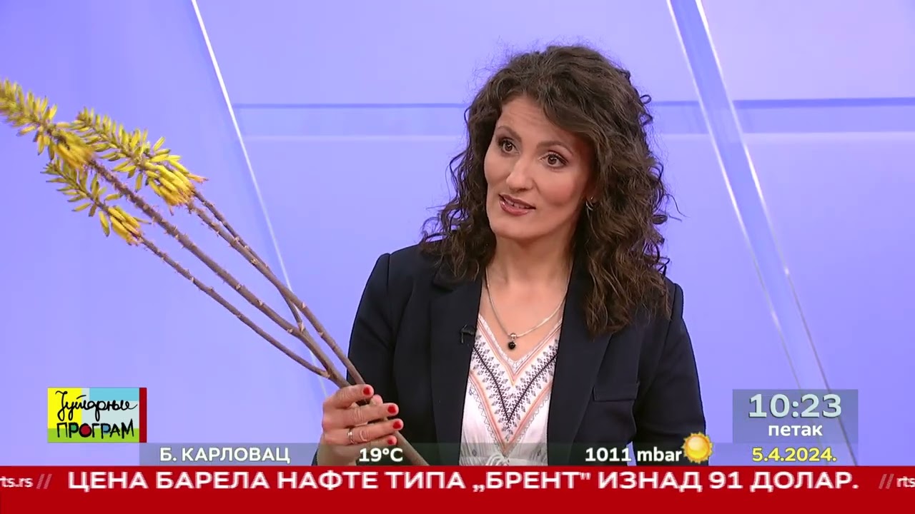 RTS JUTARNJI PROGRAM - Ritam vrta - Lale, forzicije i jorgovani