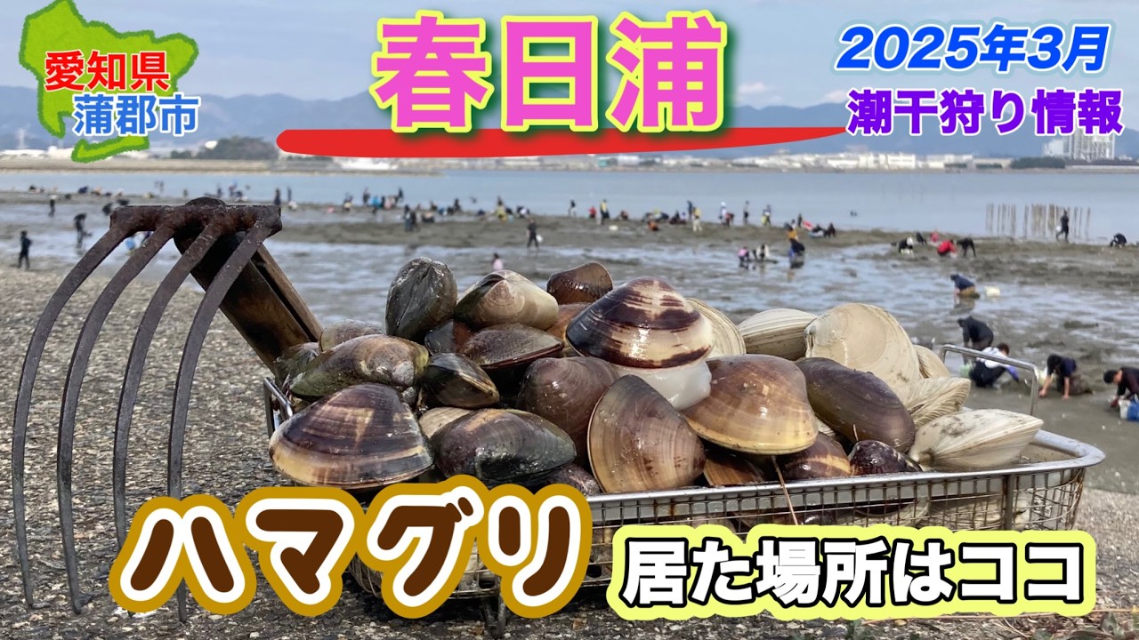 ハマグリが高密度で採れた場所はココ！！