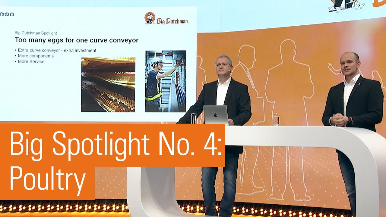 Big Spotlight No. 4 | Maintain the best egg quality