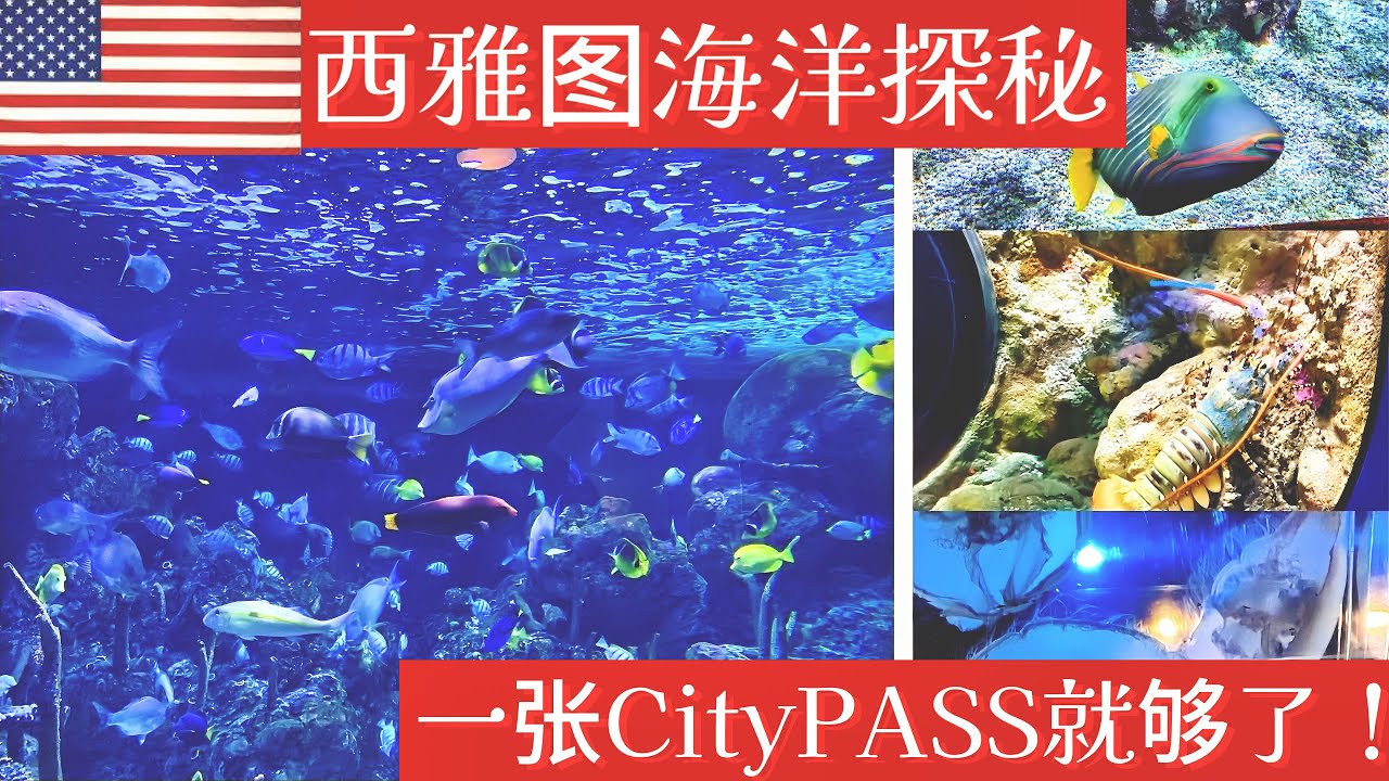 一张CityPASS畅游西雅图水族馆🌊感受自然海洋之美！🐟✨CityPASS: Explore Seattle Aquarium and Discover Ocean Wonders!🐟🐠😊