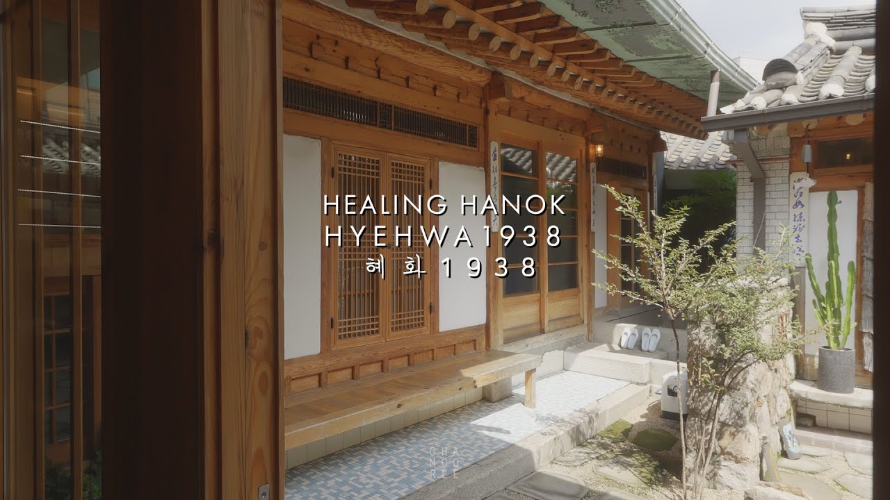 도심 속 작은 쉼터, 여름 끝자락에서 혜화1938 #koreanhouse #hanok #house #혜화1938 #hyehwa1938 #traditionalhouse #travel
