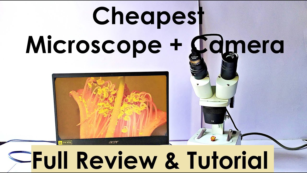 Stereo Microscope Full Review and Tutorial | Amscope