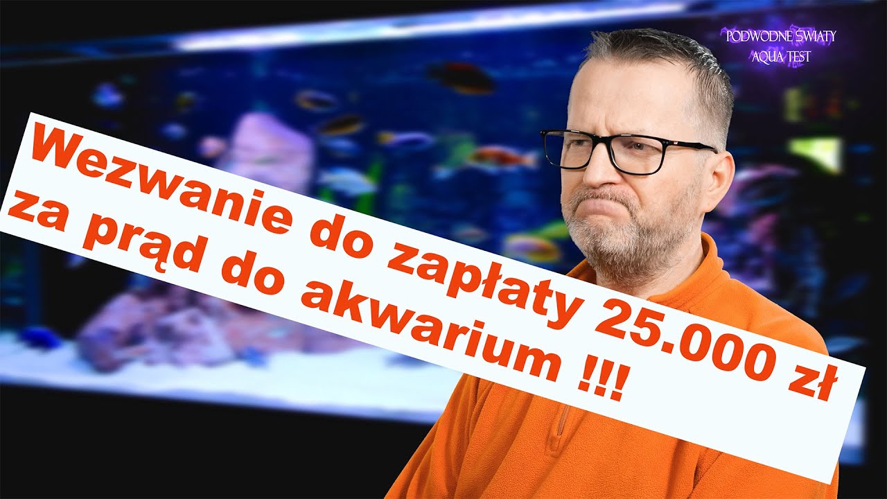 Q&A 11. cz.2  Wezwanie do zapłaty  25.000 zł za prąd do akwarium !!!