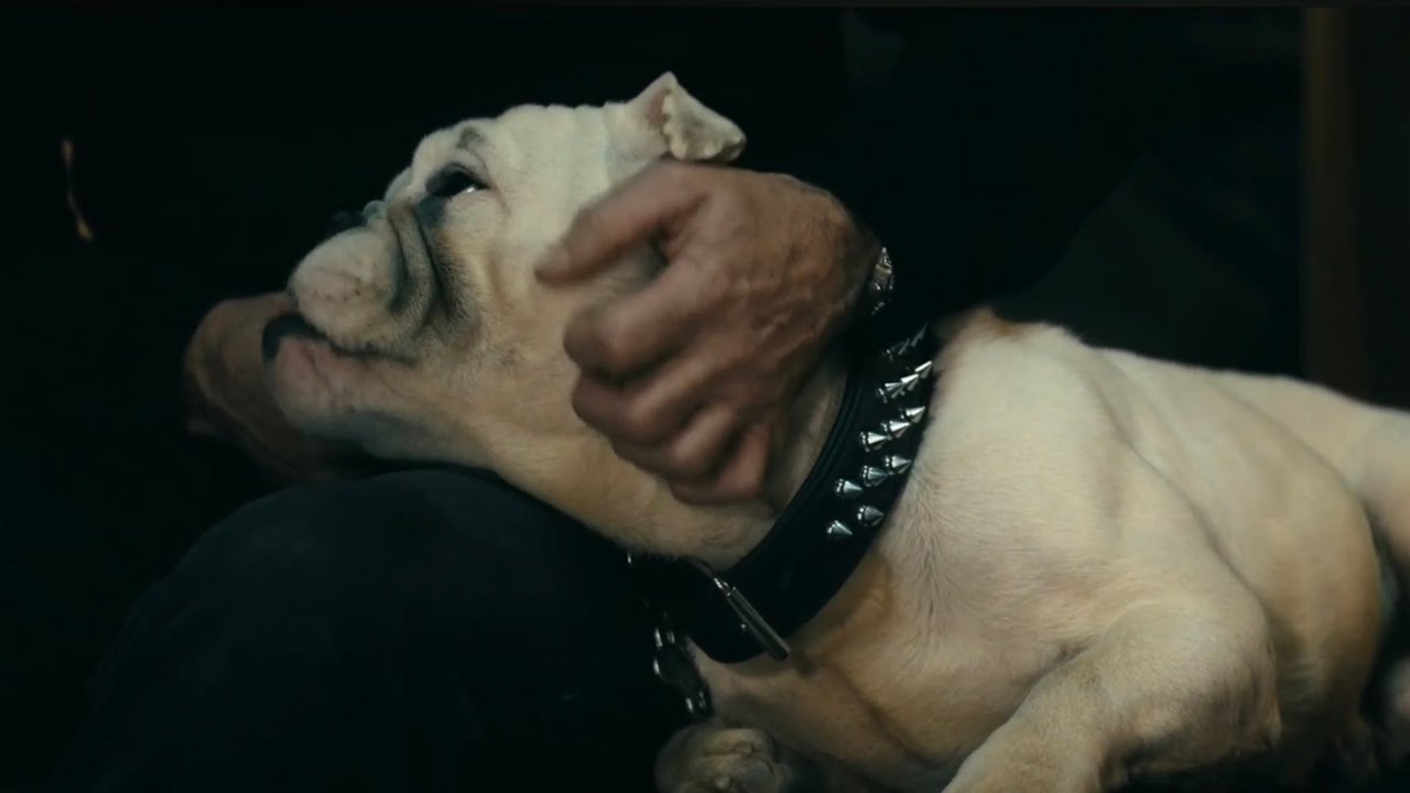 The Boys | Terror takes his meds