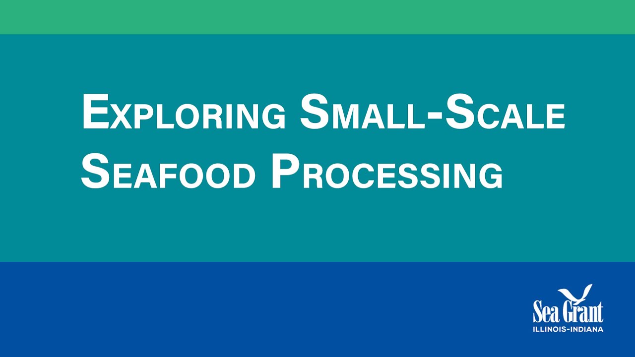 Exploring Small-Scale Seafood Processing