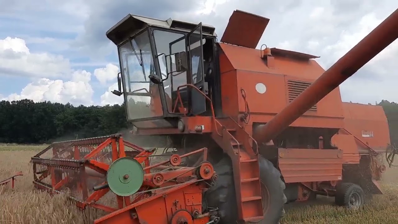 Bizon Rekord z058 , Renault ceres75 , Autosan ,, Koszenie dorodnego pszenżyta 2022