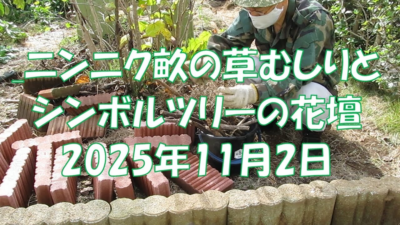 041 ニンニク畝の草むしりとシンボルツリーの花壇 2025年11月2日