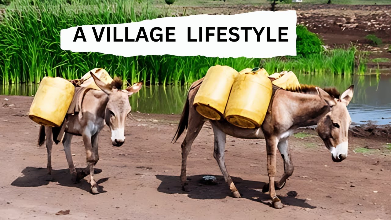 Life in a Namibian village is not as simple as you think