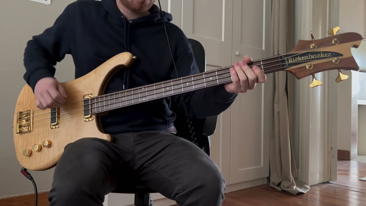 The Garden - The Life And Times Of A Paperclip (Full Album Bass Cover)