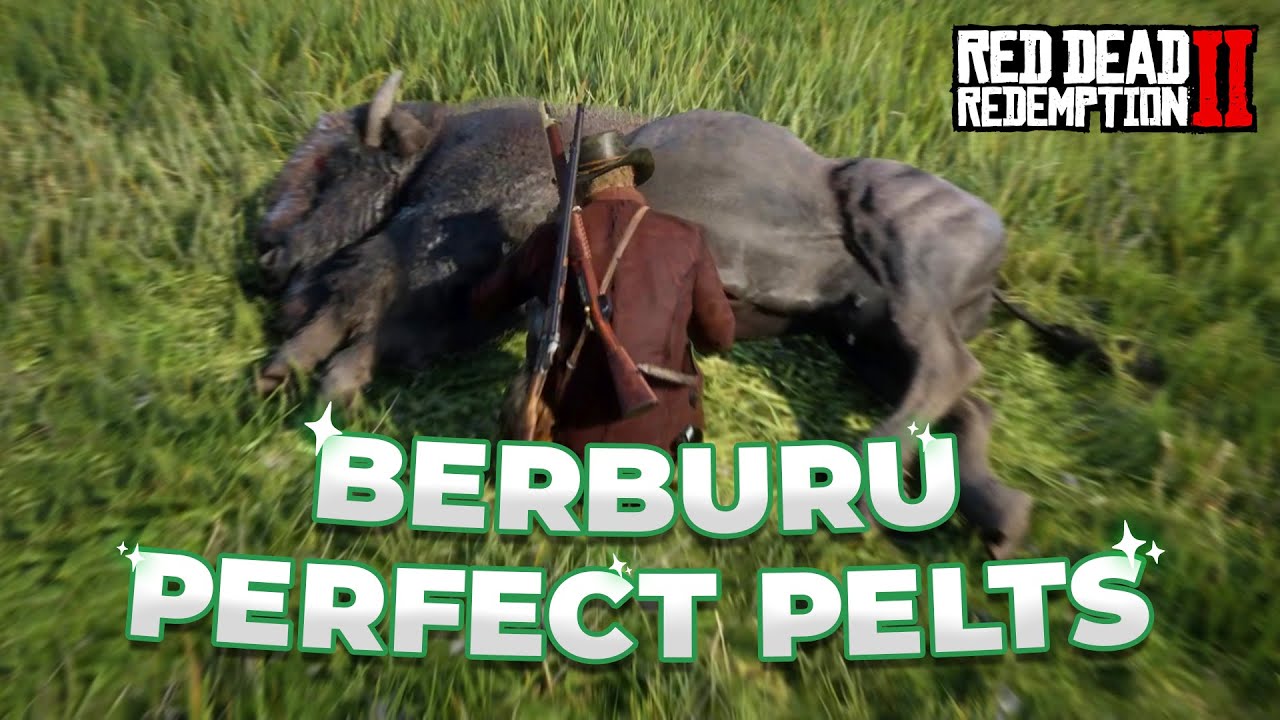 Cara Berburu agar Mendapat Perfect Pelts dan Hewan Legendary - Red Dead Redemption 2
