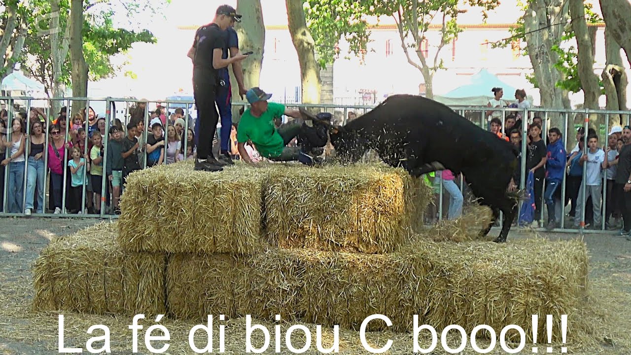 Pignan ▶course au plan◀ 16 et 17 Mai 2025.