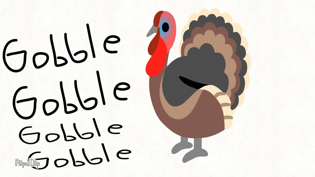 Guinea Fowl Male with Female, American birds!!!!!! Making sound #turkeyanimal #turkeyanimals