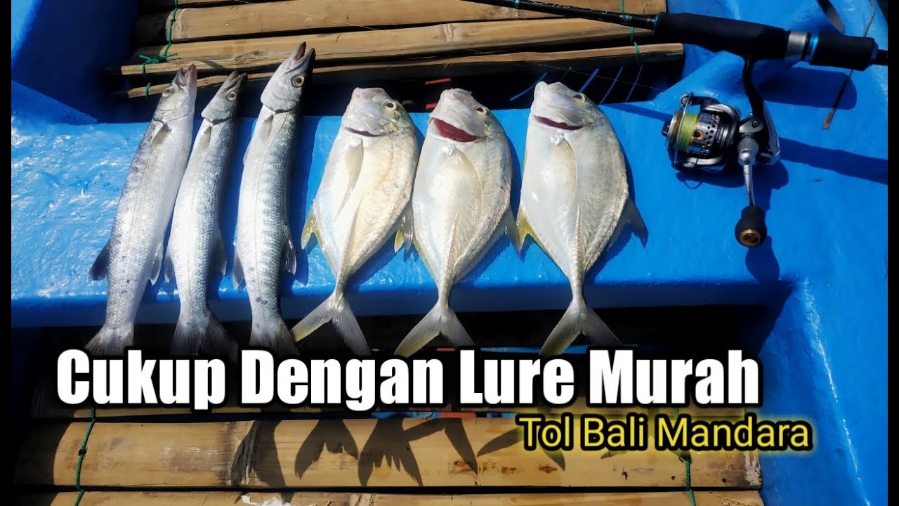JARANG KETEMU SPOT SEPERTI INI || LURE MURAH || Shimano Rarenium 1000 Ft.Relix Nusantara 6lb