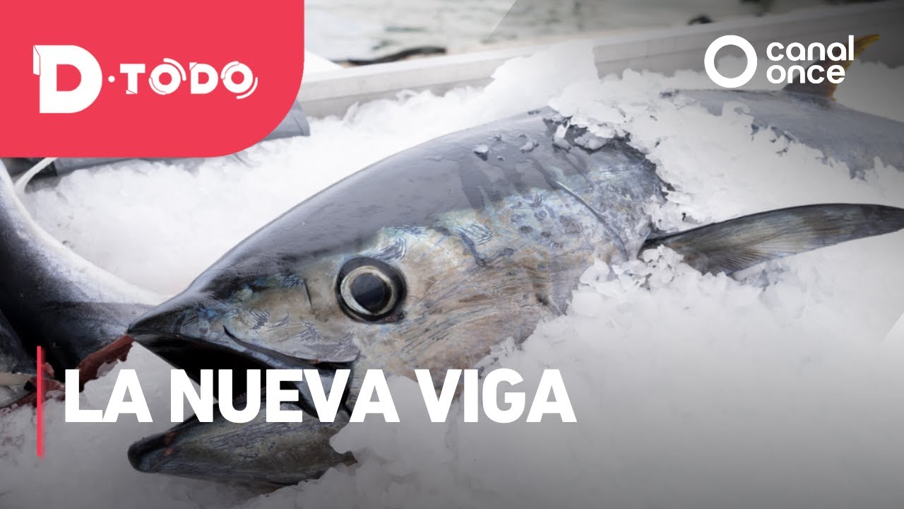 D Todo - La Nueva Viga