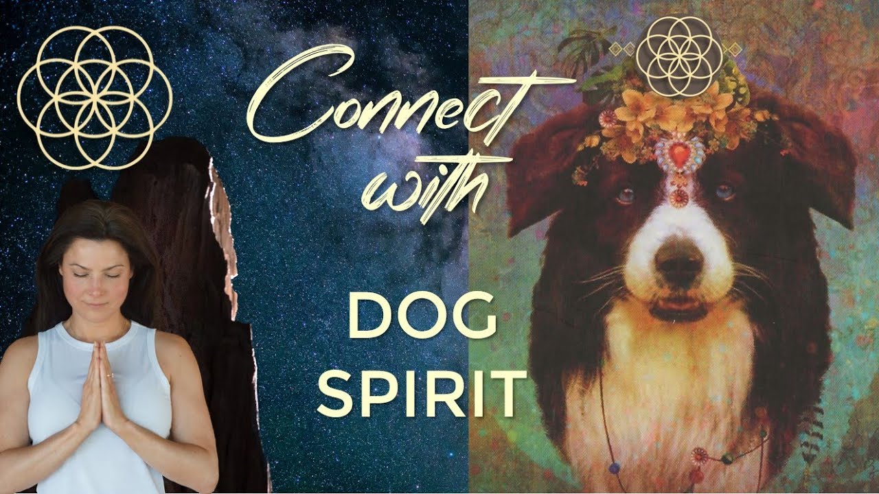 Dog Spirit Medicine Meditation | Connect with Loyalty, Protection & Unconditional Love