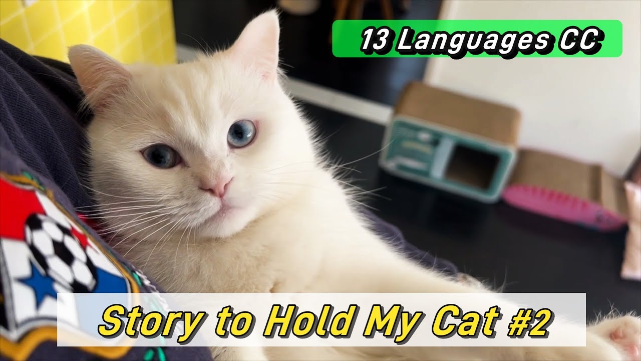 Story to Hold My Cat #2 | A Little Longer Than Before
