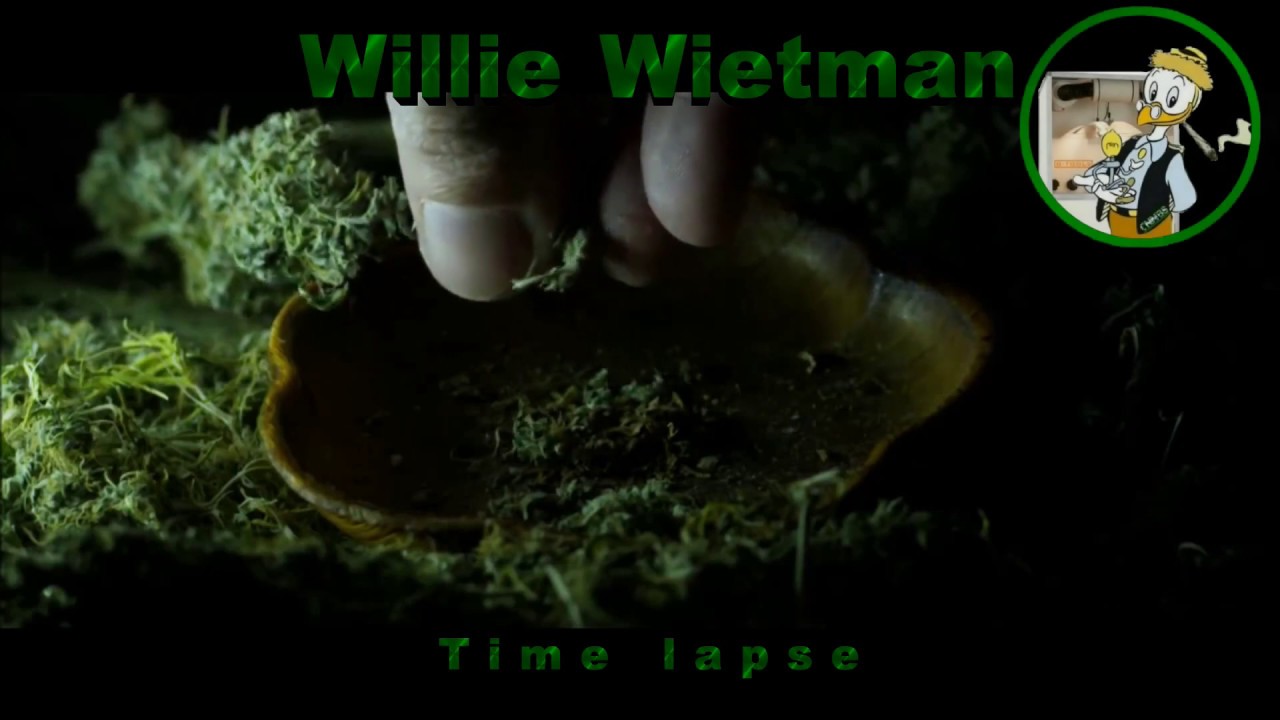 Week 12 van de Frisian Duck en de Critical Orange Punch in de CNNBS G-Kit XL