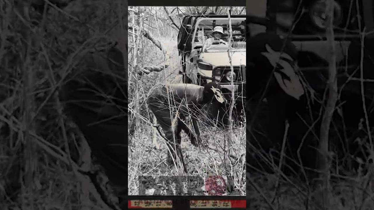 Establishing Viability