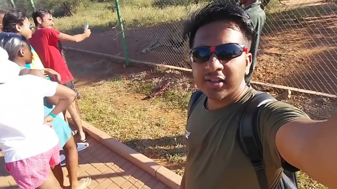 Lion park resort