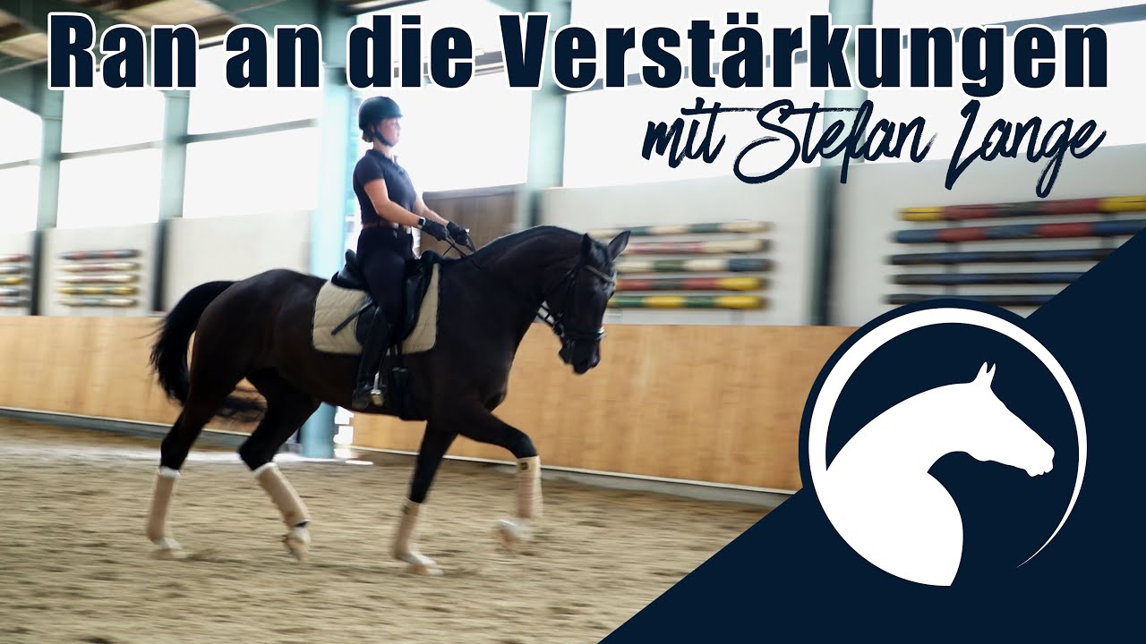 Mehr Bergauf in den Verstärkungen🚀| Hier gibt's Tipps & Übungen 🐴 | ClipMyHorse.TV Academy🎓|