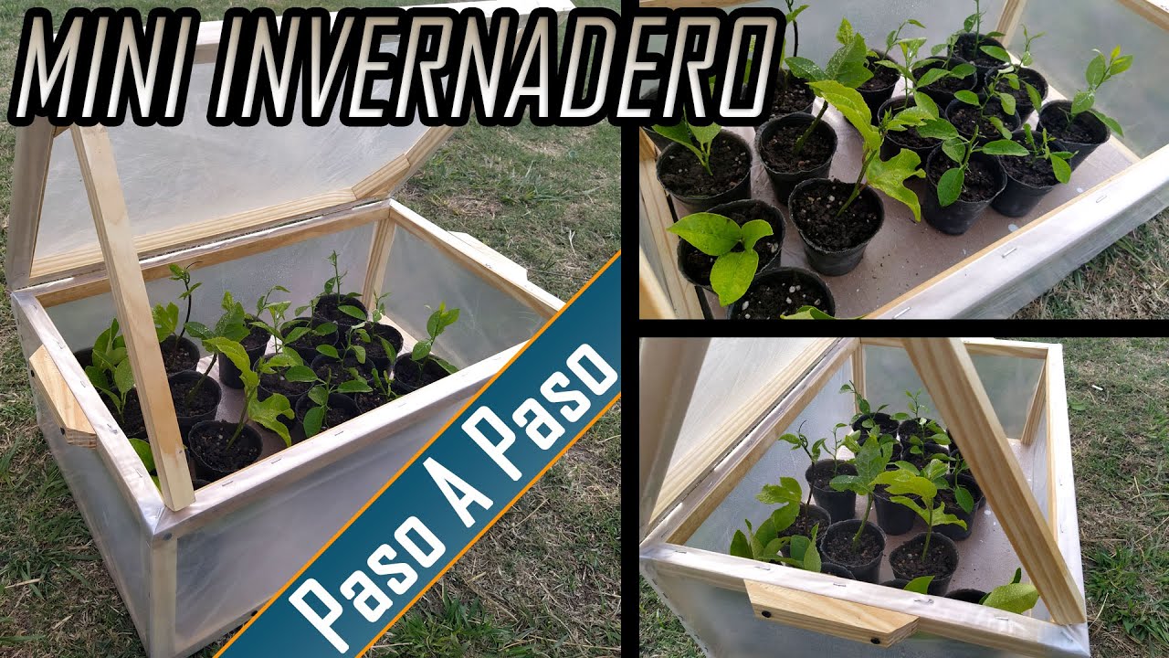 Cómo hacer mini invernadero casero para nuestros esquejes y semillero. Paso a paso || Huerto de cero