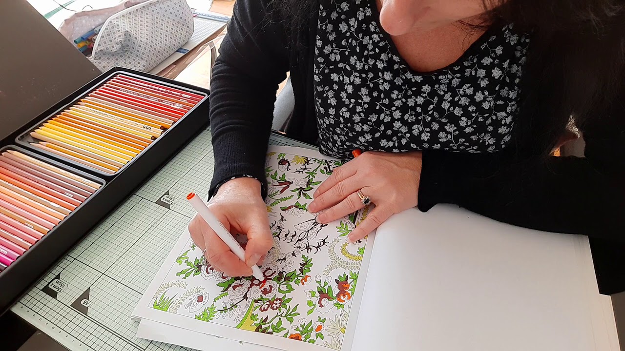 NEWS + COLORIAGE AVEC MOI